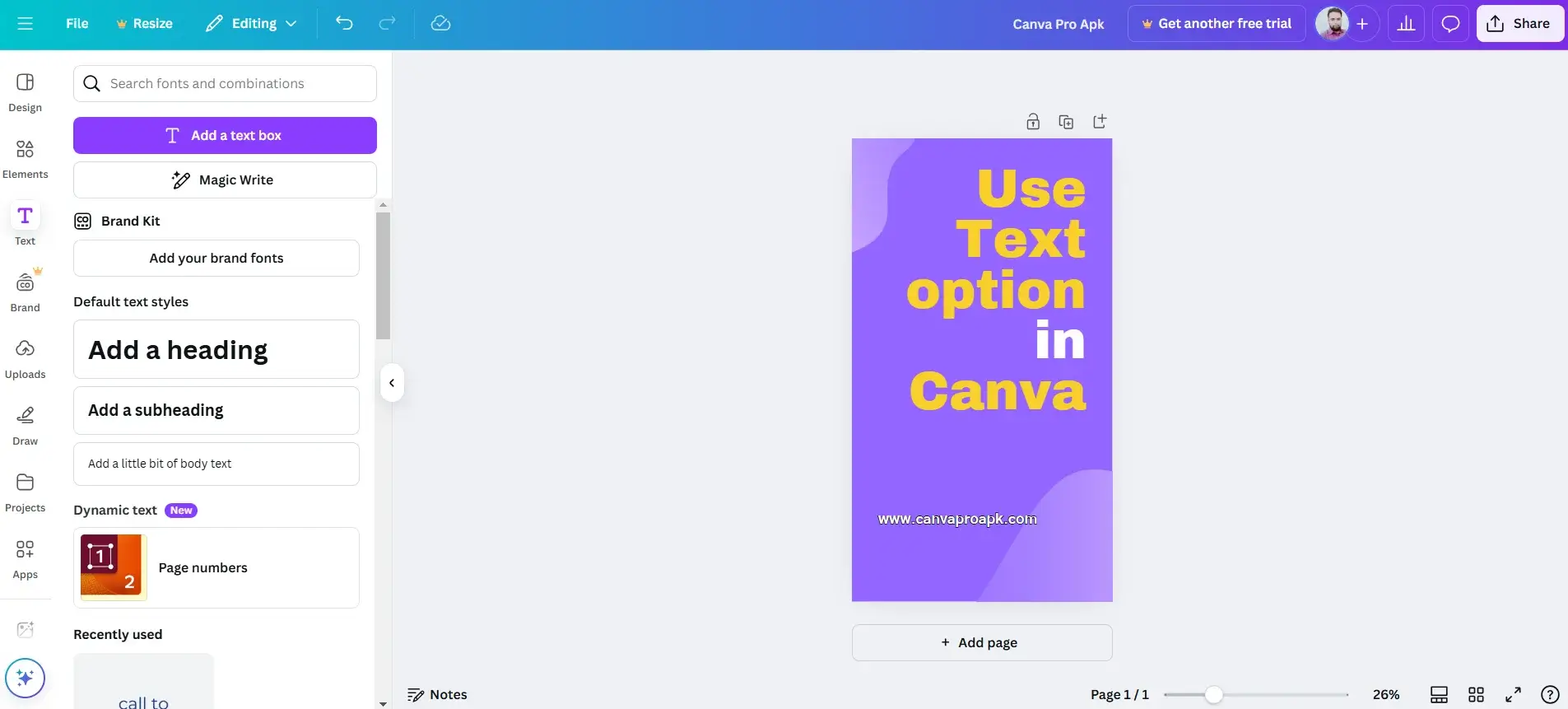 text option in canva
